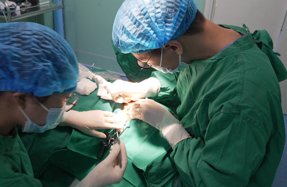 cay-long-may-co-de-lai-bien-chung-khong-3