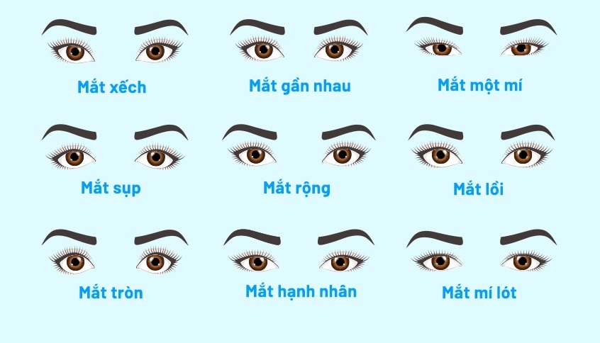 nhan-biet-cac-loai-mi-mat-hien-nay-1