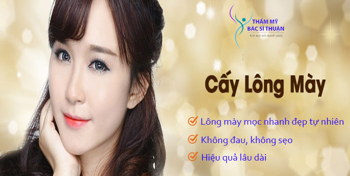 cay-long-may-banner